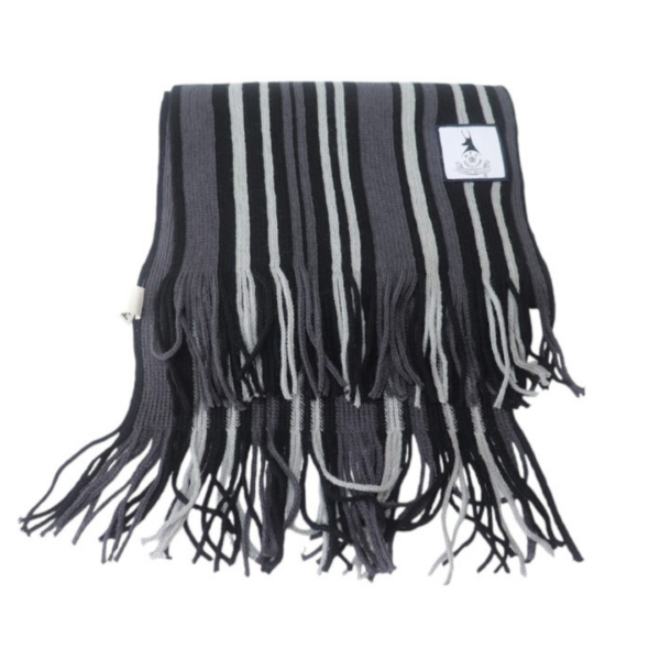 Long Striped Scarf - Image 2