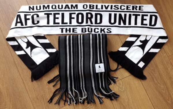 Long Striped Scarf - Image 4