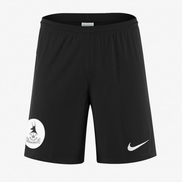 Nike Shorts Junior Academy 24/25