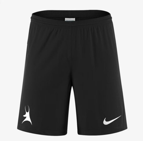 Nike Shorts Adult Academy 25/26